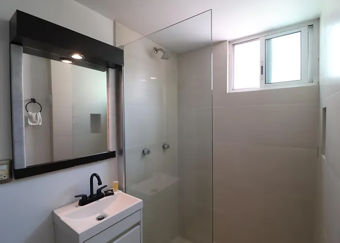 Aparthotel Sanrafa Polanco Ii 4*