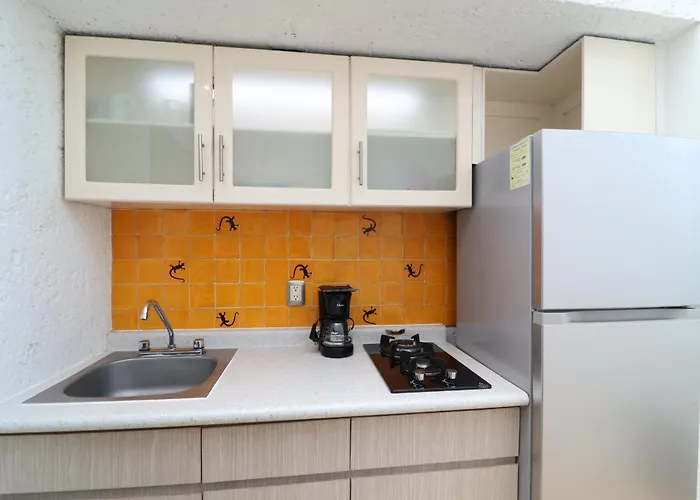 Sanrafa Polanco Ii Aparthotel 4*