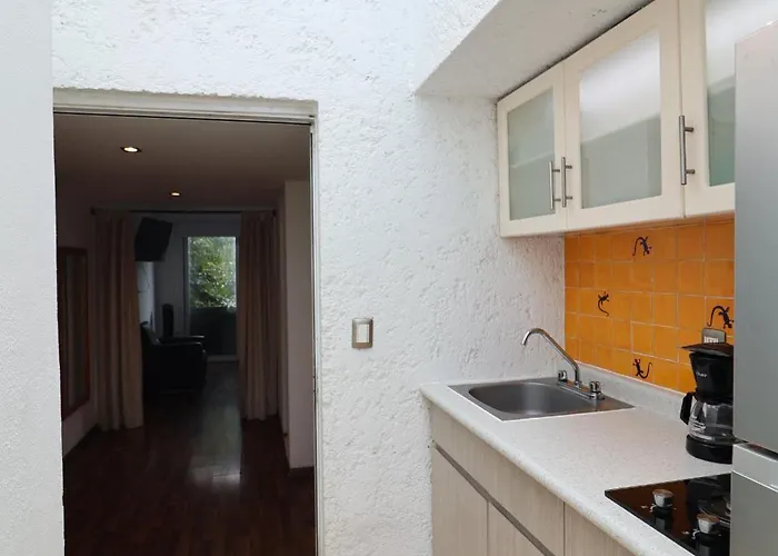 Sanrafa Polanco Ii 4*